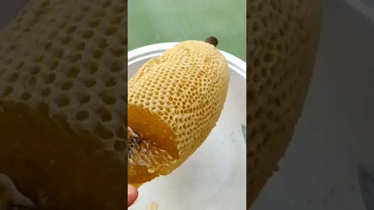 Would you like to take a bite? 🥰#honey #shorts #foryou