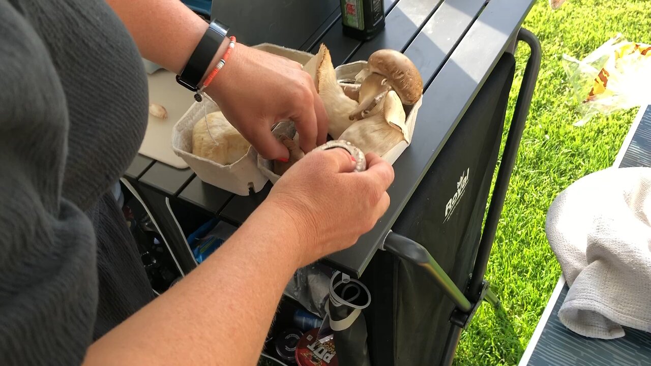 Cooking mushrooms in a field in Cornwall, lions mane, judys happy food