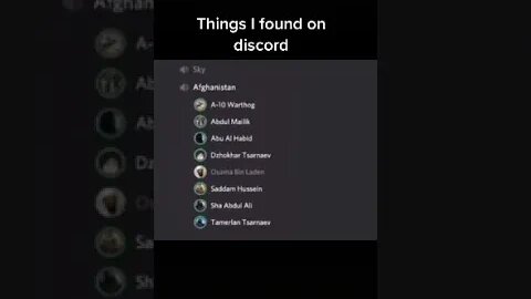 Osama Bin Laden's death reenacted in Discord