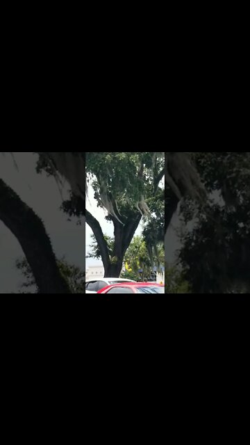 Pretending to be on a @crs firearms road trip