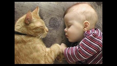 Baby and Cat Fun and Cute - Funny Baby Video