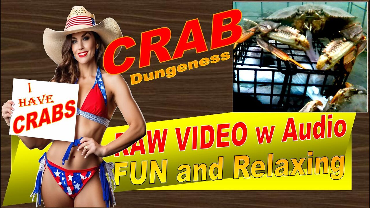 LovingKindWarm Crab Video Underwater Crab Pot Fish Boat ASMR Visual/Audio Fun Sept 2d 2024a Raw