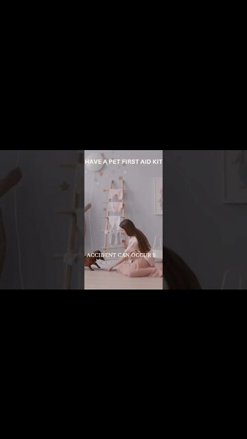 best dog training tips: best way to care for your dog...#shorts