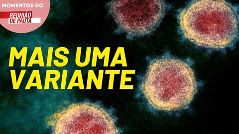 A possibilidade da variante ômicron chegar ao Brasil | Momentos do Reunião de Pauta