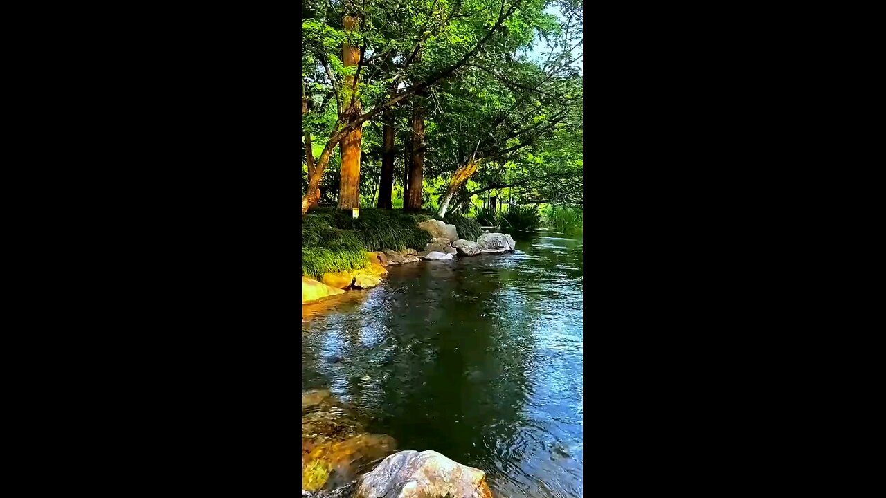 natural swimming ponds are an eco -friendly alternative to tradional pools.