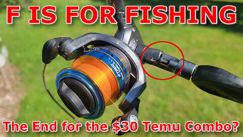 The End for the $30 Temu Combo?