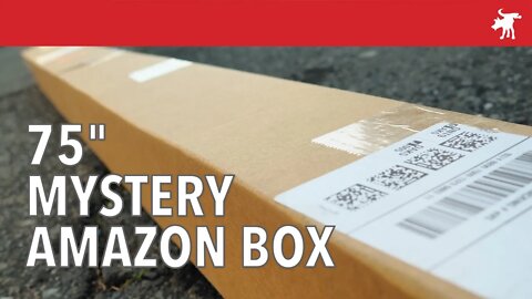 75 inch Amazon mystery box?