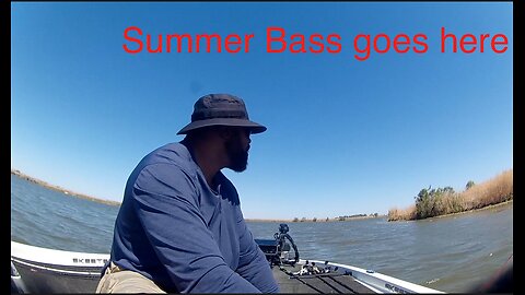 Bass fishing /Summer July 2024