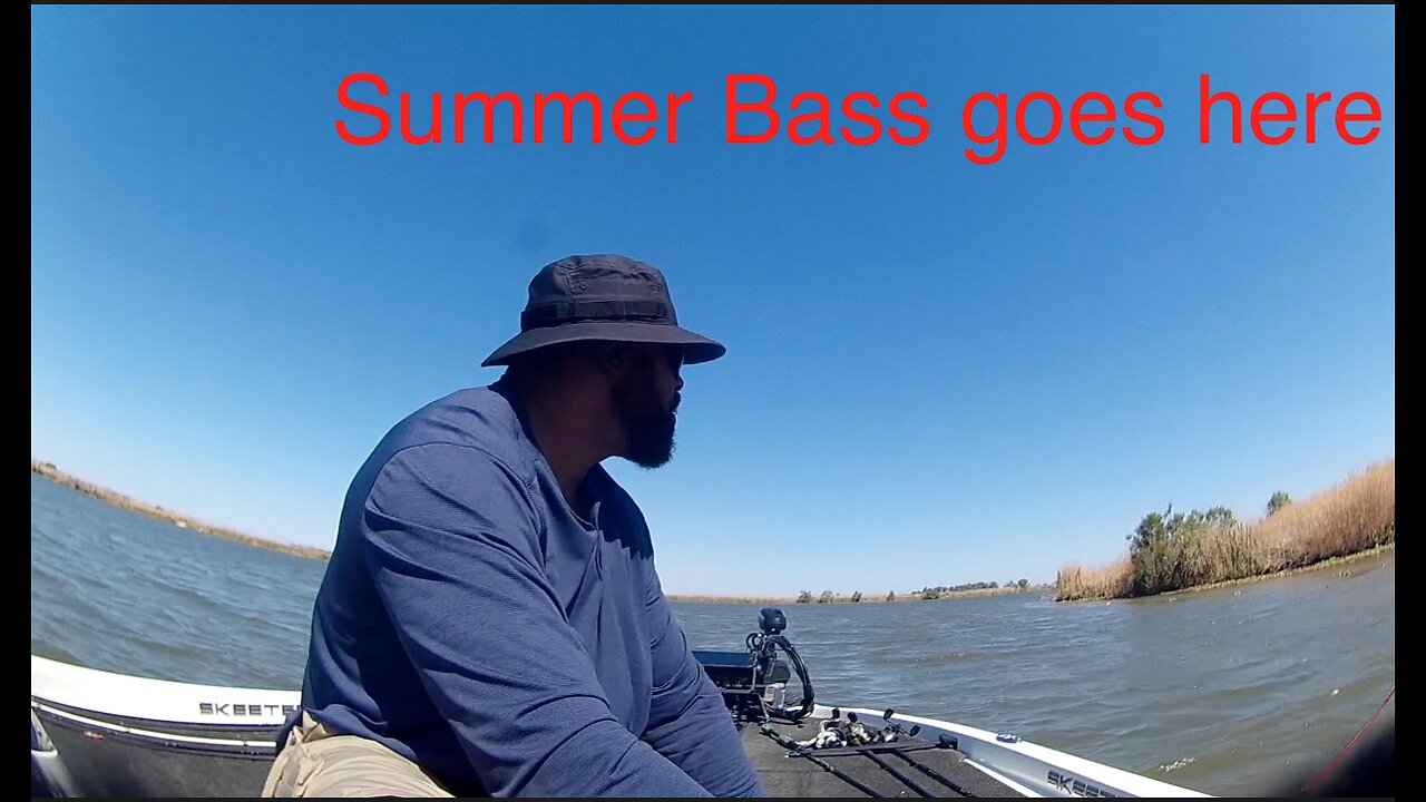 Bass fishing /Summer July 2024