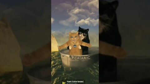 #shorts #catanic