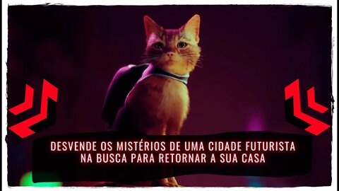 Stray - Assuma o Controle de um Gato de Rua Lutando para Reencontrar sua Família (Jogo de Aventura)