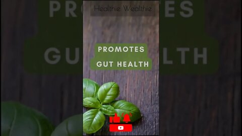 Benefits of Basil - Healthie Wealthie