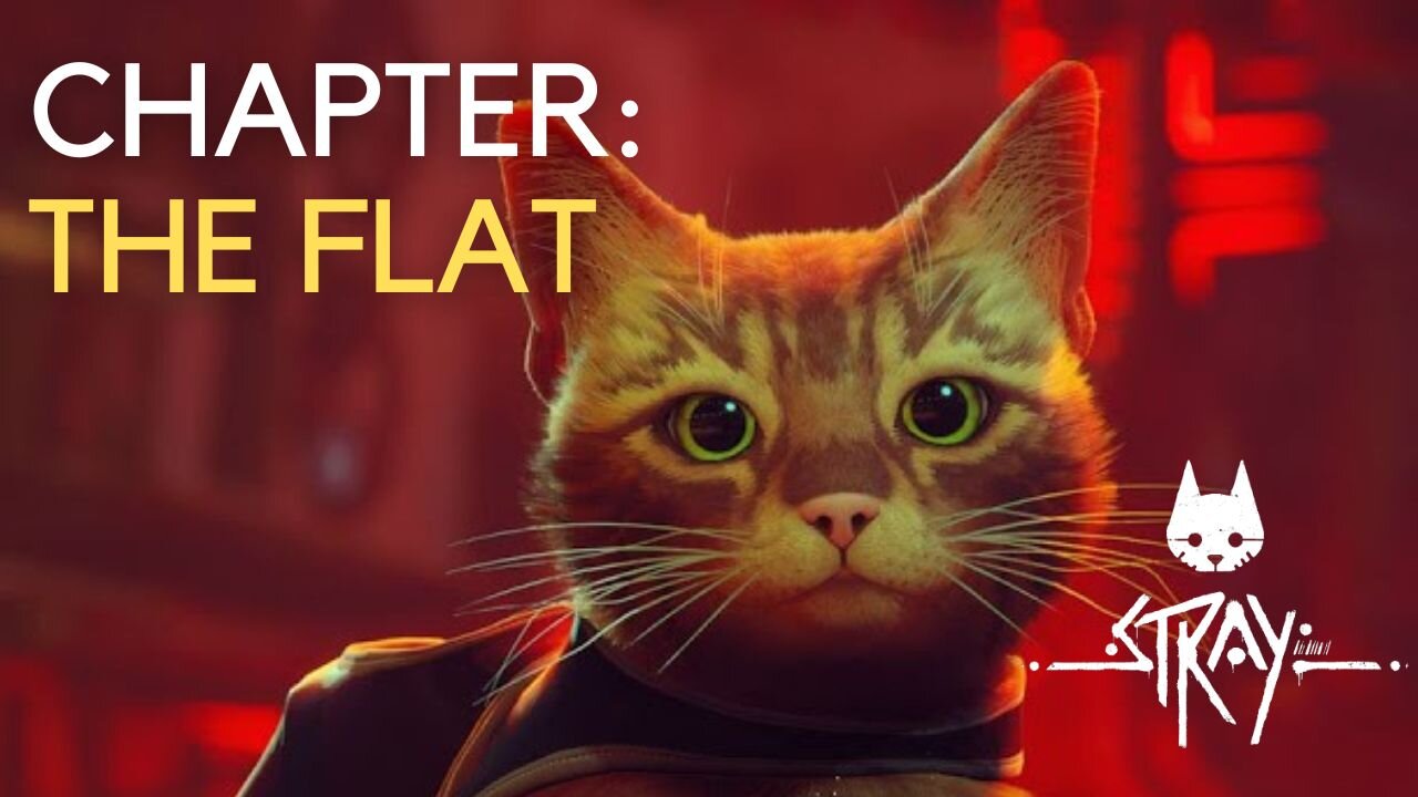 Stray: The Flat Walkthrough an addictive gaming experience with - the ultimate cat game!