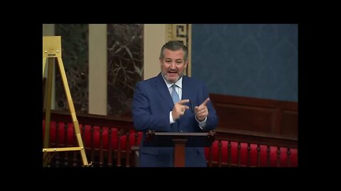 Sen. Cruz: KBJ is such a fellow traveler with the radical left, she can't acknowledge common sense