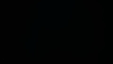 Lanzamiento del Libro