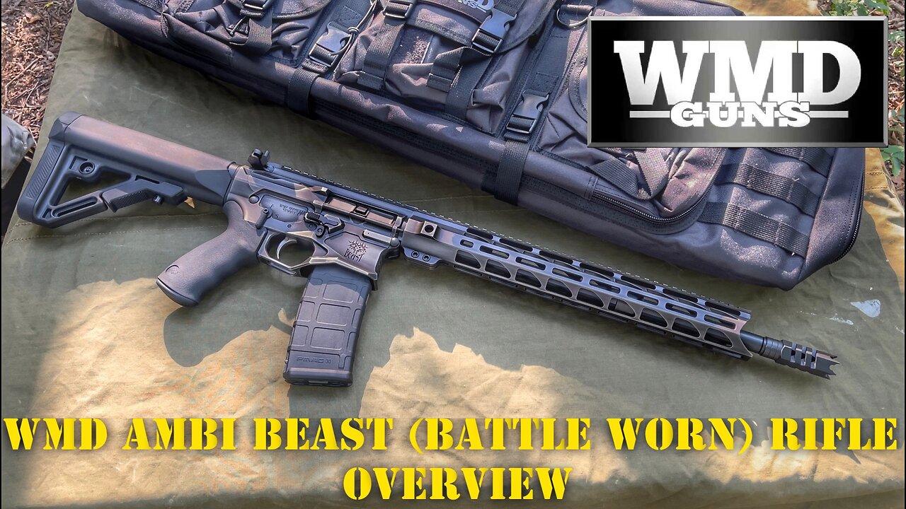 WMD GUNS AMBI BEAST (Battleworn) AR15