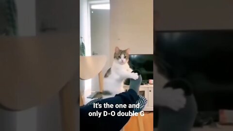 MEME is the one and only D-O double G #shorts