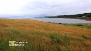 Watching for miles and miles over Nova Scotia's coastline