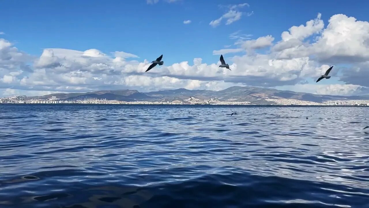 The Calm Sea And The Seagulls