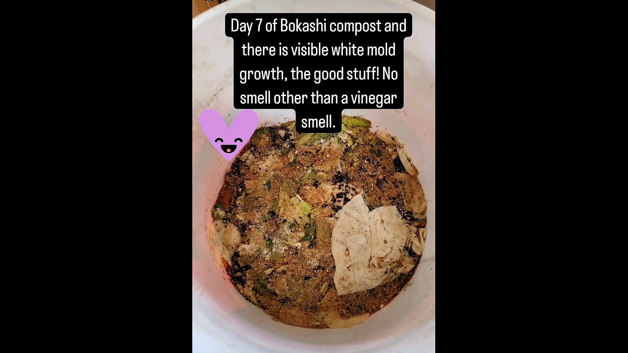 Bokashi Composting update