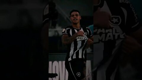 🔥LÍDER! LÍDER! LÍDER! SEMPRE ACREDITAR! SEREMOS! #botafogo #brasileirão #segueolíder