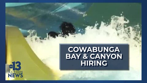 Cowabunga Bay, Canyon looking to fill over 1,000 positions ahead of summer