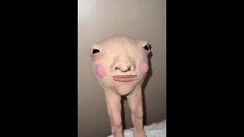 Funny videos