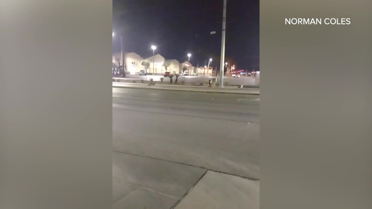 Viewer Video: Pack of coyotes running through Albertsons lot in Las Vegas