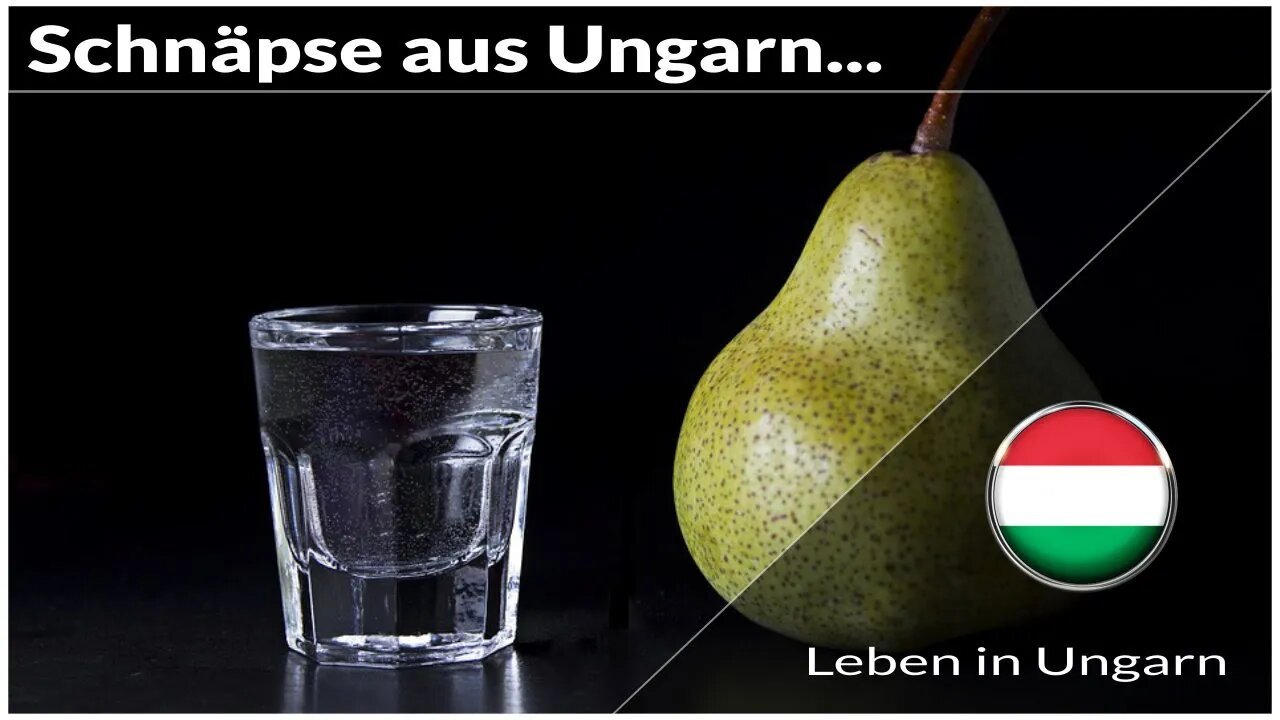 Gute Schnäpse aus Ungarn - Leben in Ungarn