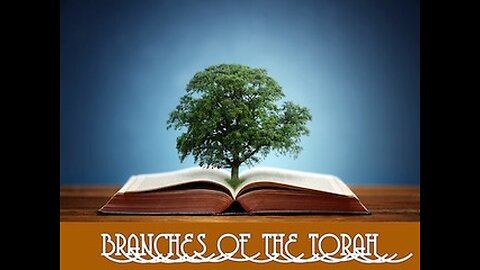 Branches of the Torah 7