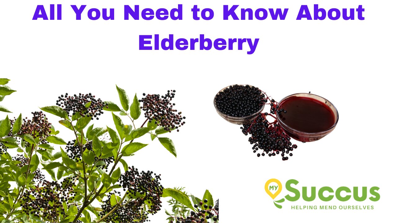 All You Need to Know About Elderberry