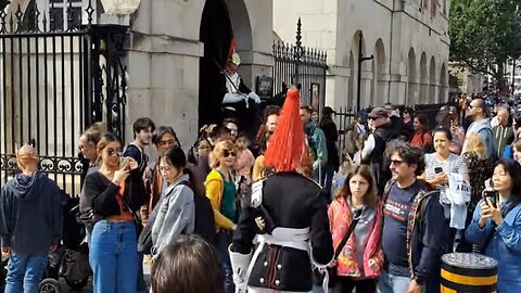 Make way kings guard makes his way to the horse #horseguardsparade