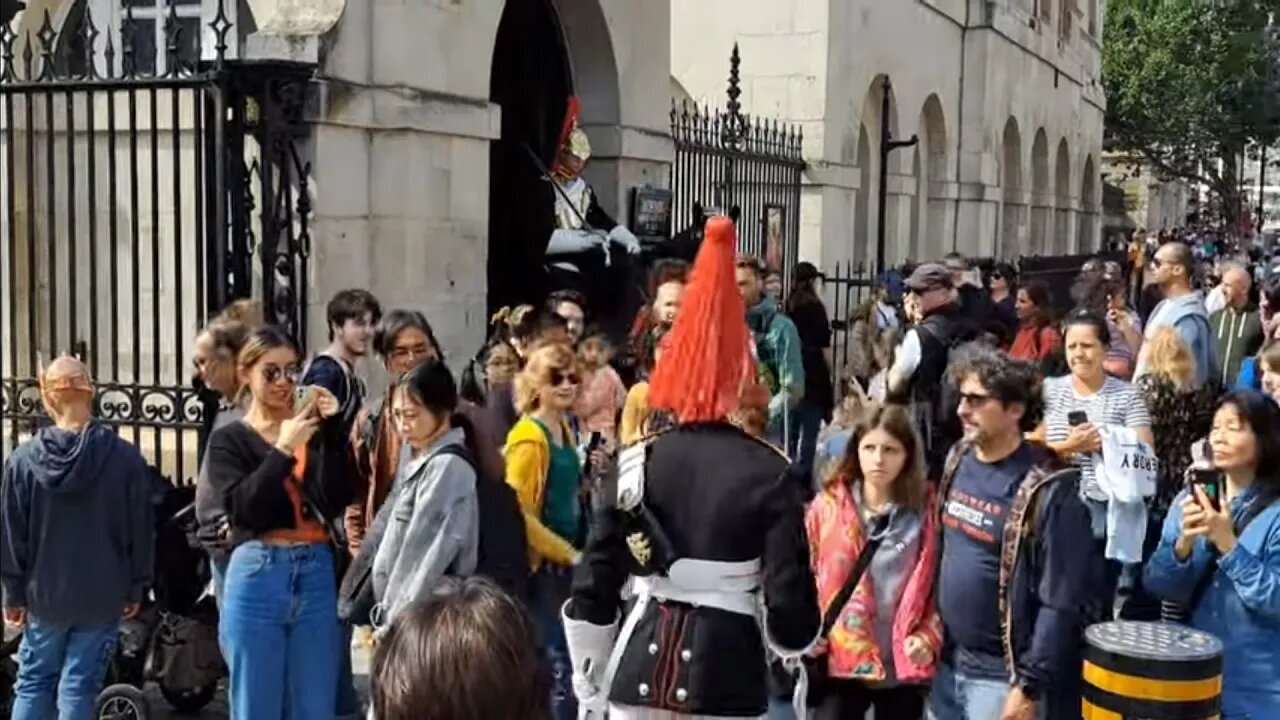 Make way kings guard makes his way to the horse #horseguardsparade