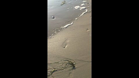 Walk on the beach