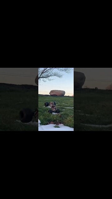 The Furitek Hiroyama Is A MONSTER!!! A Mini Monster