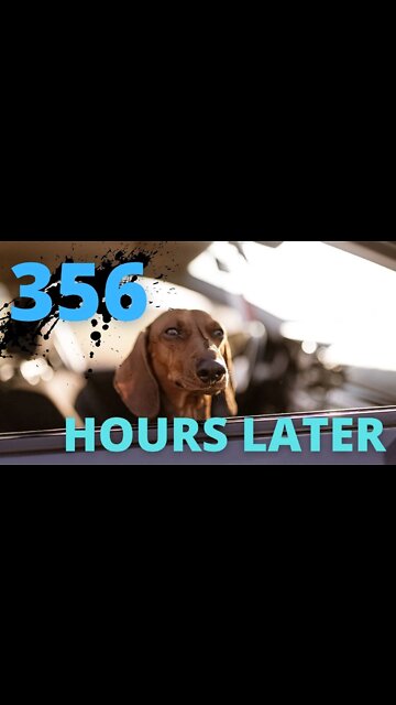 Waiting…. | Meme | #shorts