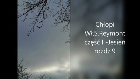 Chłopi -Wł.S.Reymont część I - Jesień , rozdz.9