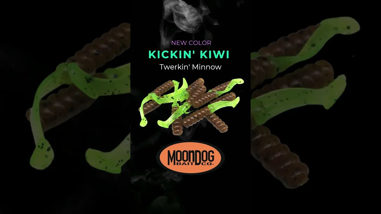 Head over to the site and check out the new Kickin’ Kiwi color! #fishing #crappie #panfish #shorts
