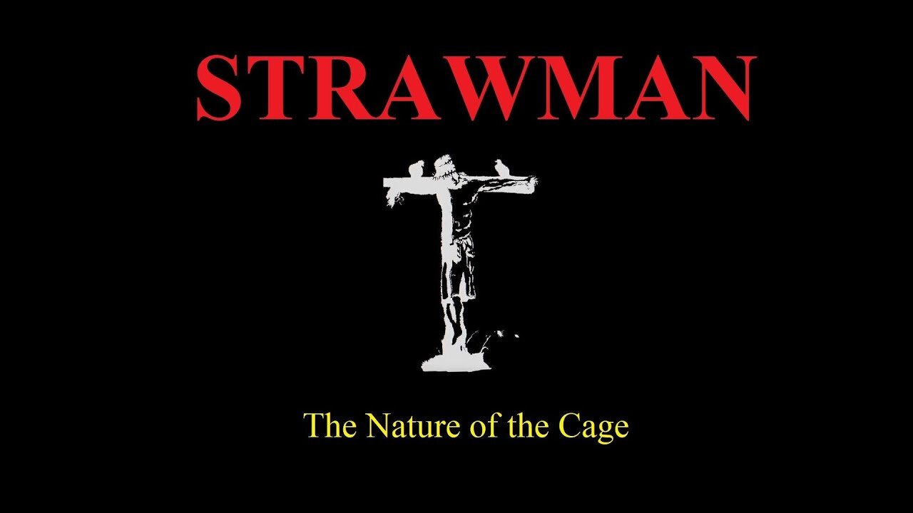 STRAWMAN: THE NATURE OF THE CAGE