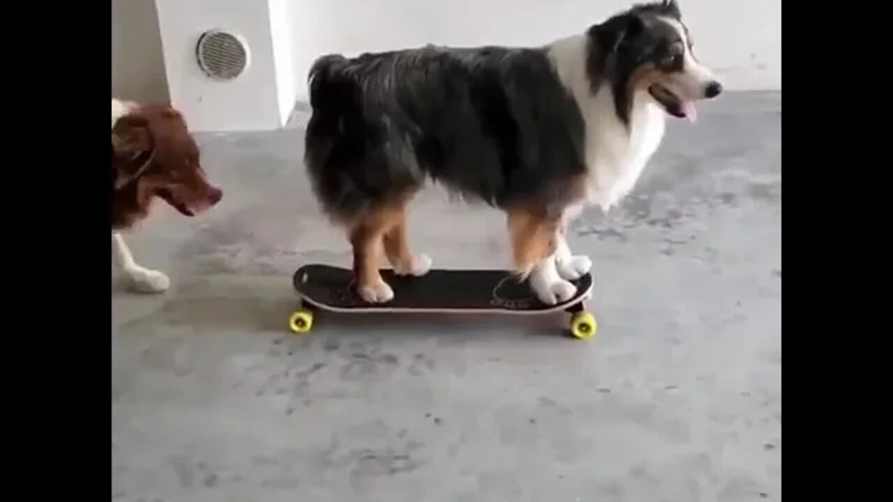 Sometimes you just need a little push from a friend