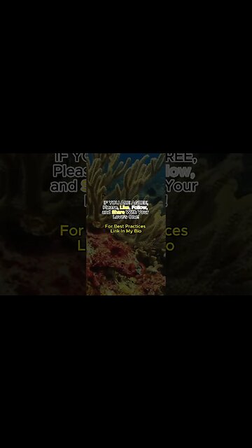 How to Become a Money Magnet