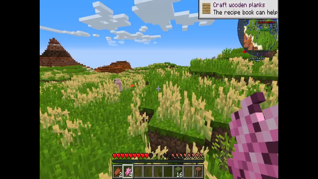 Playing Minecraft Mods