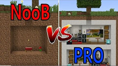 Maincraft Noob vs Pro