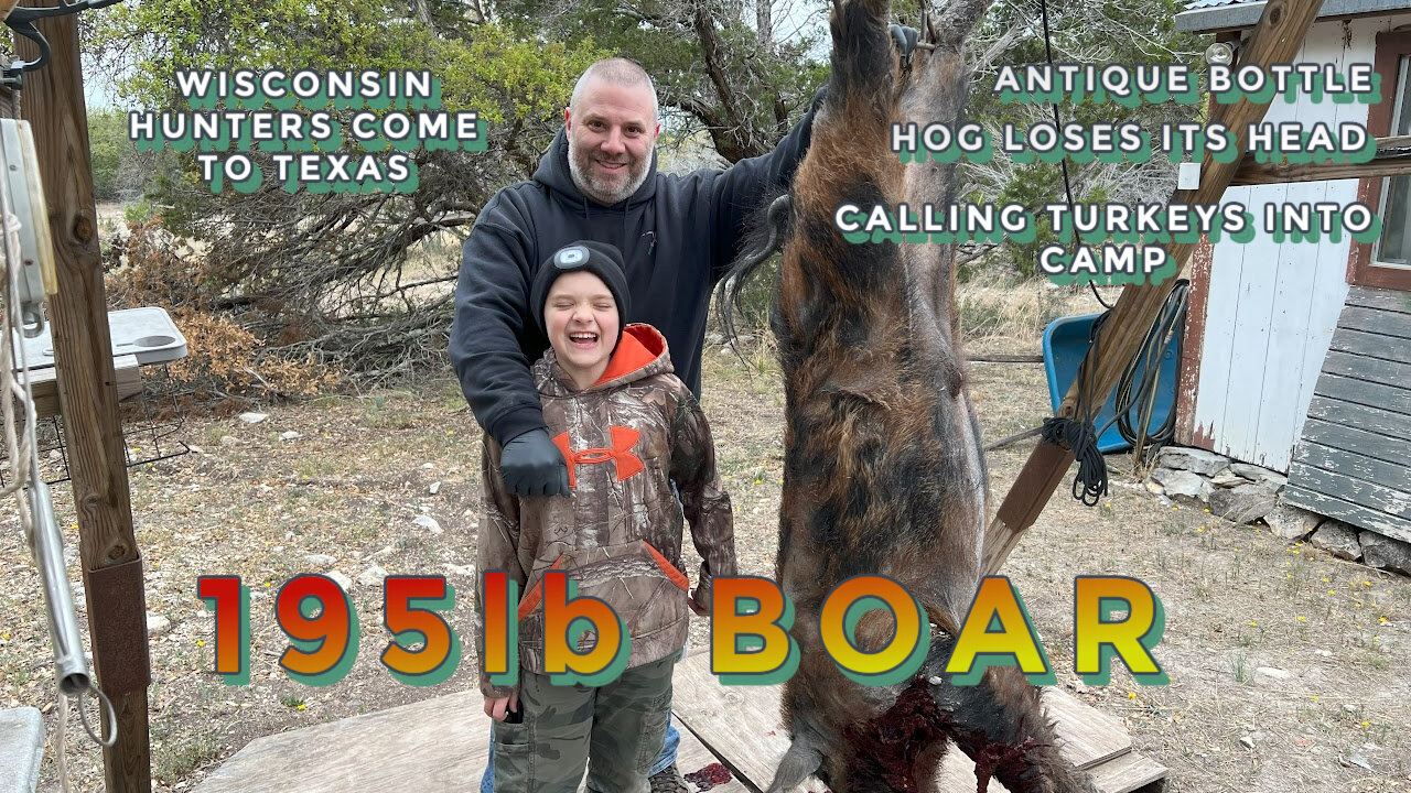 195lb WILD BOAR/HOG LOSES ITS HEAD/CALLING TURKEYS INTO CAMP/ANTIQUE BOTTLE FIND/WISCONSIN TEXAS PIG