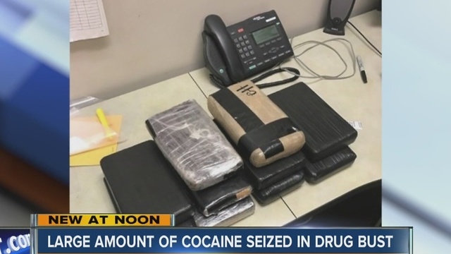 Large amount of cocaine seized in drug bust