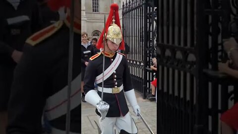 make way girl does move quick enough for the queen's guard #horseguardsparade