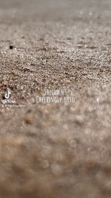 Love more. Take more chances. Live more. Take Control Of Your Life.