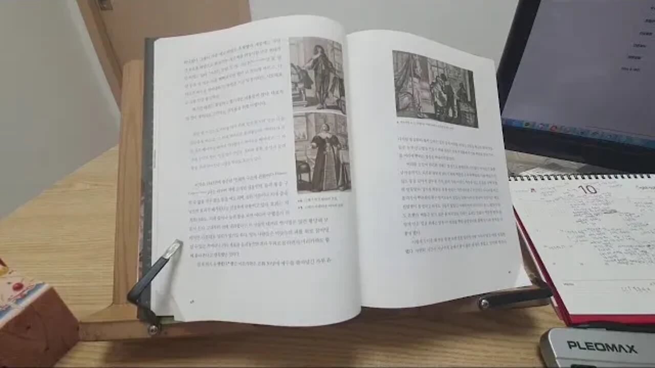 귀족의 시대 탐미의 발견 백분 화장픔의 목적 잠두콩 보리가루 우유 흉터 가리기 흉터침