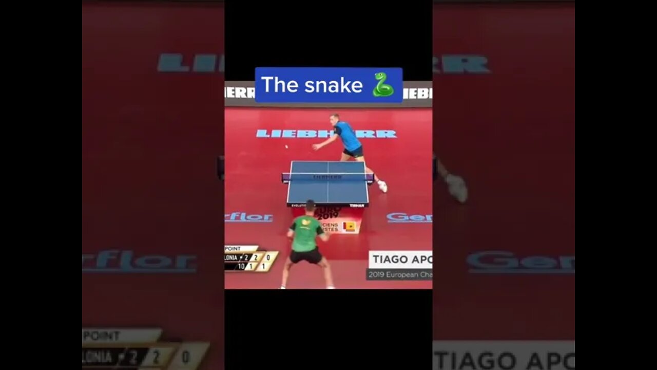 Best point ever?? The Snake 🐍