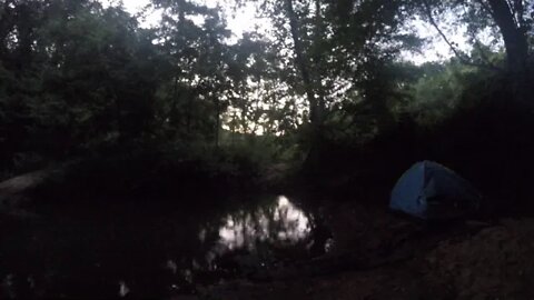 Watching the highway from the river